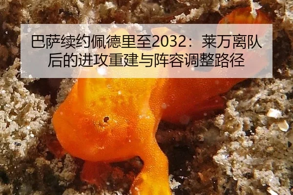 ba-sa-xu-yue-pei-de-li-zhi-lai-wan-li-dui-hou-de-jin-gong-chong-jian-yu-zhen-rong-tiao-zheng-lu-jing-2-871.jpg