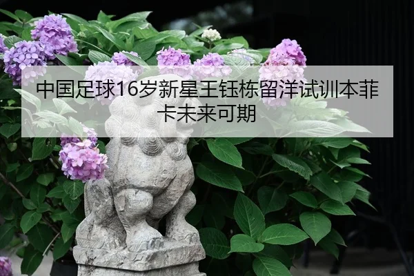 zhong-guo-zu-qiu-sui-xin-xing-wang-yu-dong-liu-yang-shi-xun-ben-fei-ka-wei-lai-ke-qi-3-141.jpg