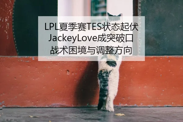 LPL夏季赛TES状态起伏 JackeyLove成突破口 战术困境与调整方向