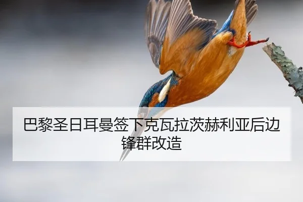 巴黎圣日耳曼签下克瓦拉茨赫利亚后边锋群改造